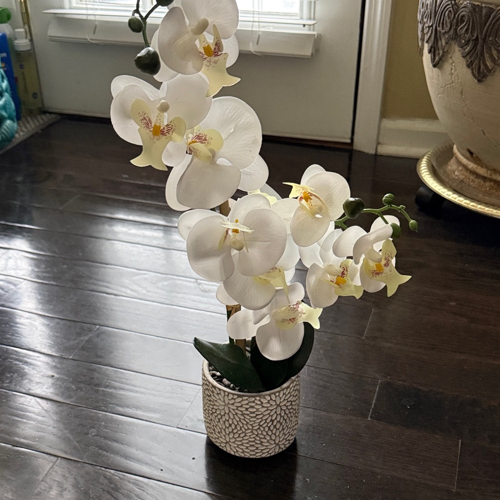 Elegant White Faux Orchid in Mosaic Pot. Beautiful!